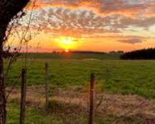 Se Venden 500 Hect. Pampa del Infierno