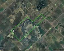 Campo De 592 Has En Timote, Carlos Tejedor, Bs. As.
