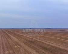 70 Ha Blaquier Prov. de Buenos Aires