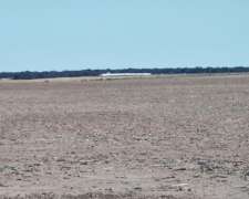 Juan Llerena 200 Has