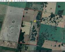 Vendo Campo para Agricultura Pozo Borrado