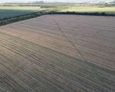 250 Hectáreas de Campo Agrícola en Gualeguaychú, Sobre Ripio