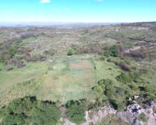 Coronel Pringles -456 HA- San Luis