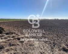Venta Campo Agricola Mixto en Luis Palacios- Santa FE