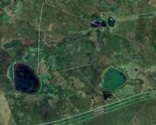 Realico la Pampa Argentina