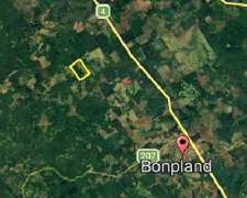 Misiones 40 Ha Naturaleza Producción Potencial de Inversión