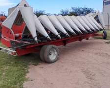 Maicero Maizco Premiun de 11 a 52cm