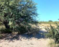 Campo de Monte en Caleu Caleu