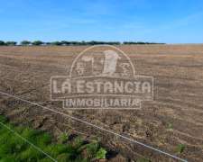 60 Has En La Picada Suelo 1 S/ruta Con Mejoras Completas