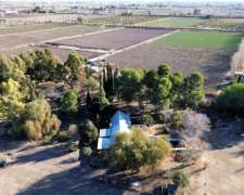 Chalet en Venta, 3 de Mayo, Lavalle - Mendoza