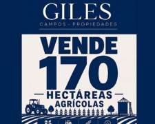 Campo Agrícola 170 Hectáreas Rojas