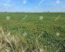 Campo en Venta de 667 Has en Gonzales Chaves