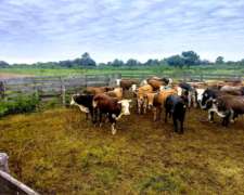 Chaco - Miraflores 1250 Has Campo Agricola/ganadero