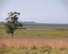 Vendo Campo 5000 Hectáreas en San Roque Corrientes