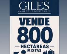 Campo 800 Hectáreas Mixtas Baradero