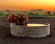 Bebedero de 2500 Litros de Hormigón Armado