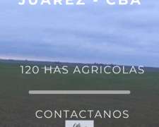 Venta- 120 Has Zona Marcos Juárez