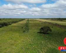 En Venta Campo Ganadero