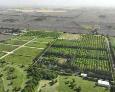 20 Has. Fracción Arbolada en Zona Urbana de Diego Gaynor