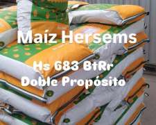 Maíz Hersems Hs 683 Btrr