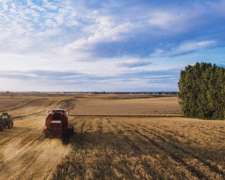 Venta Campo Mixto de 830 Hectáreas en Gral Madariaga BS. A.