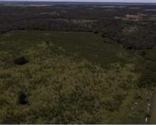 Campo Ganadero 175 Hectareas