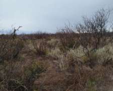 Campo 7500 Hectareas,santa Isabel la Pampa