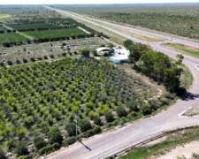 Finca Orgánica de 32 Sobre Ruta 7