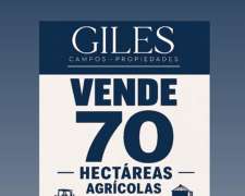Campo Agrícola 70 Has Baradero