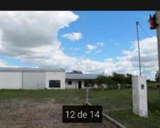 Alquilo 2600 Hectáreas Zona Villa Guillermina