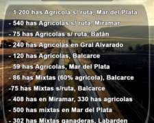 Campos en Venta en el Sudeste de la Provincia de Buenos Aire