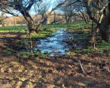 1.140 Ha Excelente Campo de Monte en San German, Puan