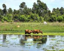 Pcia. de Corrientes - Pago de los Deseos 254 Has