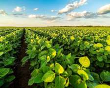 Vendo 94 Has en Bustinza