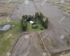 Campo en Venta de 324 Has en General Alvear. Mixto