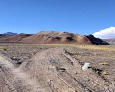 33.000 Has en Tinogasta, Catamarca, Argentina