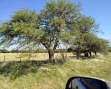Campo Agricola Ganadero, Mejoras.