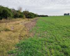 Campo Agricola 69 Hectareas Entre Rios