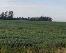 Vendo 900 Has Agricolas