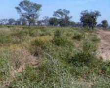 800ha Departamento Alberdi Santiago del Estero