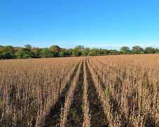 Venta de Campo Agrícola