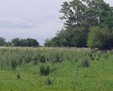 Campos 6 HA. LUZ Agua Vivienda Sobre Camino Firme.
