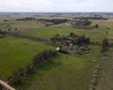 Chacra En Venta De 42 Has En Brandsen
