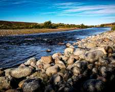 Estancia en Rio Mayo. 7345 HA. Chubut