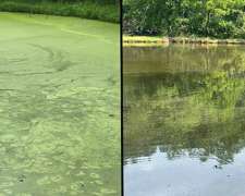 Tratamiento de Lagunas de Oxidación y Control de Algas