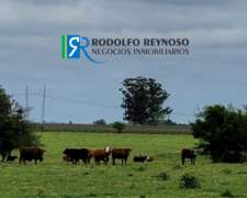 43 Ha Agrícolas - Ganaderas
