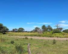 1000 Has Tostado Santa FE