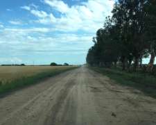 Campo Agrícola en Fortin Inca, Prov. de SGO del Estero