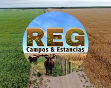 780 Has - Winifreda, L P