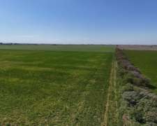 48 Has Agrícolas Clase 2 IP76 - las Colonias